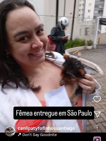 Imagem-do-WhatsApp-de-2025-07-07-as-19.35.02_c9f1cb5d
