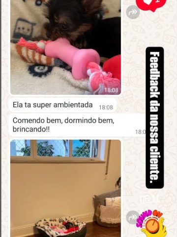 Screenshot_1